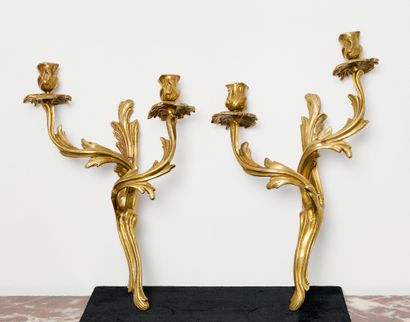 Style Louis XV - Luminaire
Paire d'appliques...