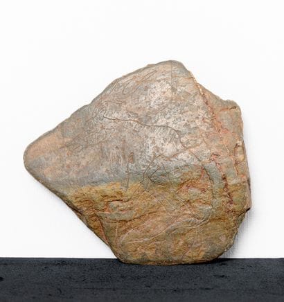 Paleothonlogie - Magdalénien
Plaquette en...