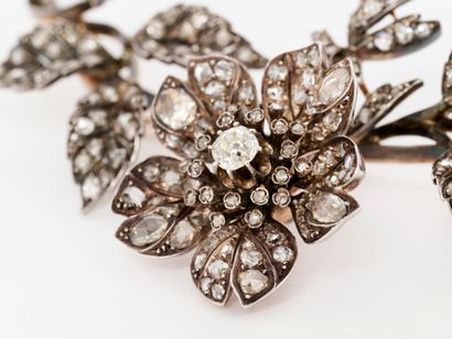 Jewelry - France, late 19th century
Trembleuse...