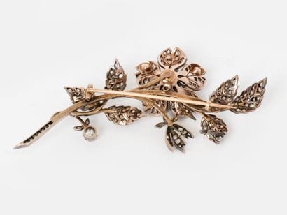 Jewelry - France, late 19th century
Trembleuse...