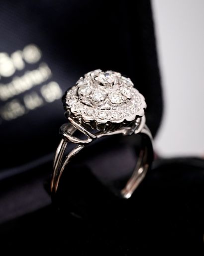 Bague or Diamant
Bague en or blanc à deux...
