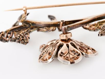 Jewelry - France, late 19th century
Trembleuse...