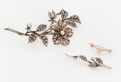 Jewelry - France, late 19th century
Trembleuse...