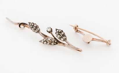 Jewelry - France, late 19th century
Trembleuse...