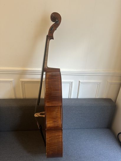 Violin making - Cello - Albert Jacquot in...