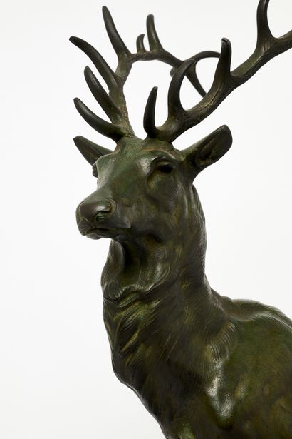 Pierre-Jules MÈNE (1810-1879), d'après
 Cerf....