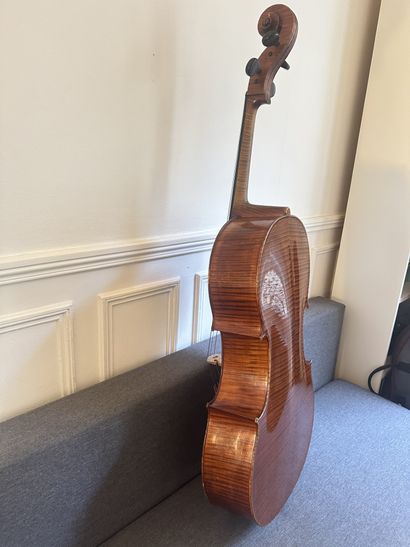 Violin making - Cello - Albert Jacquot in...