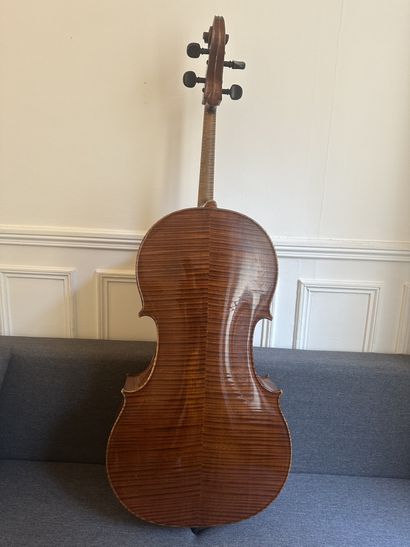 Violin making - Cello - Albert Jacquot in...