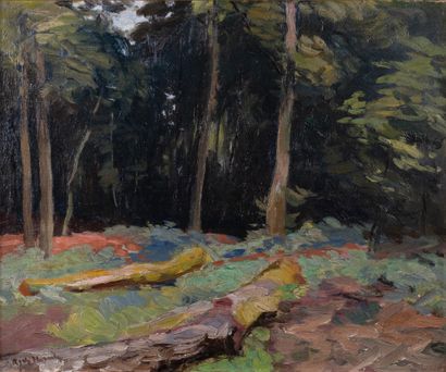 Richard HEINTZ (1871-1929)
