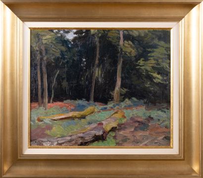 Richard HEINTZ (1871-1929)
