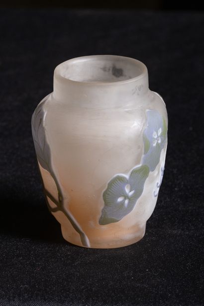 Emile Gallé
Petit vase en verre multicouches...