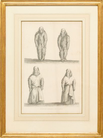 Augustin Antoine CALMET (1672-1757)
Mandragores...