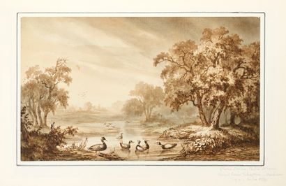 Louis SCHEPENS (1816-1884)
Canards sur l'étang....
