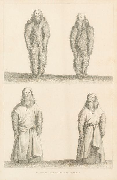 Augustin Antoine CALMET (1672-1757)
Mandragores...
