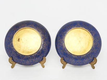 Early Republic-era China - Cloisonné Enamel
Pair...