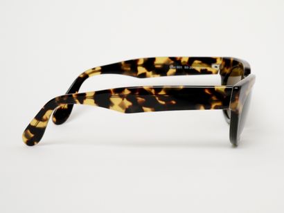 Robert La Roche - Autriche
Lunettes de s...