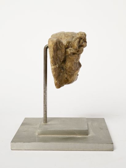 Tête de putto - Fragment