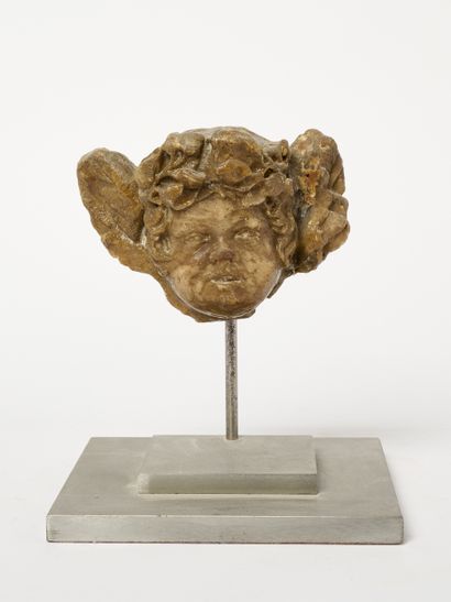 Tête de putto - Fragment