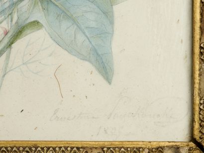 Ernestine PANCKOUCKE (1784-1860)
Bouquet...