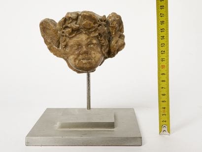 Tête de putto - Fragment