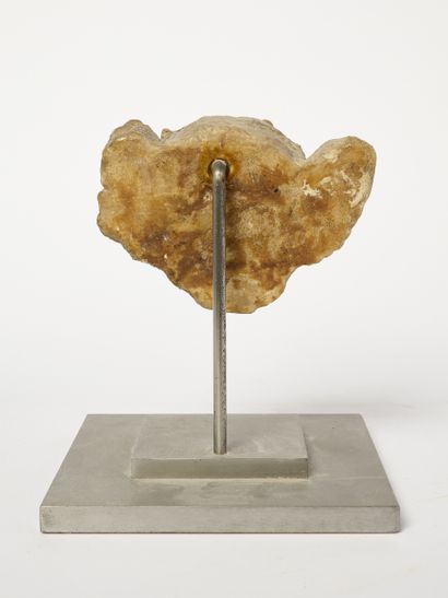 Tête de putto - Fragment