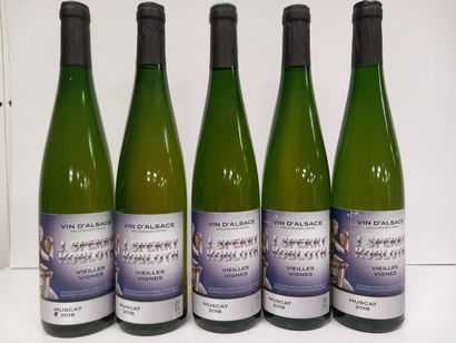 5 Bouteilles d'Alsace Muscat 2018 Vieilles...