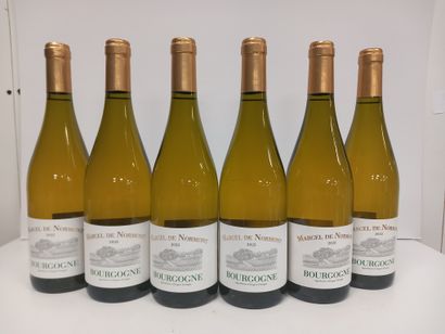 6 Bougogne Blanc 2022 Marcel de Normont Grand...