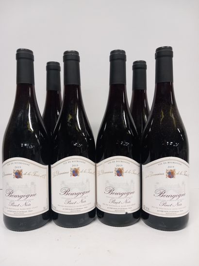 6 Bouteilles de Pinot Noir 2019 Domaine de...