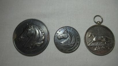 Lot de 3 médailles en argent, sur le thème...