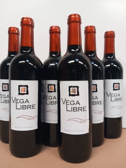6 bouteilles de Cru d'Espagne Vega Libre...