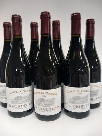 7 bouteilles de Coteaux Bourguigons 2020...