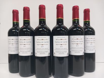 6 bouteilles de Montagne Saint Emilion 2017...