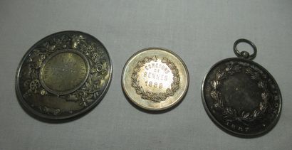 Lot de 3 médailles en argent, sur le thème...
