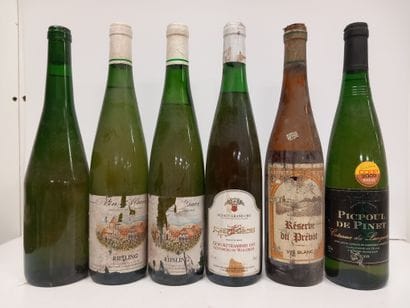 6 Vieilles bouteilles d'Alsace Blanc (en...