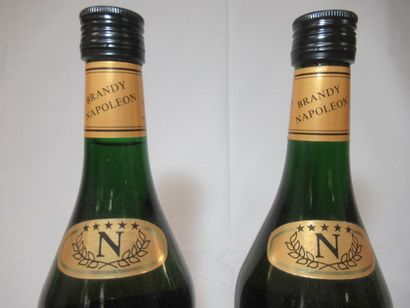 2 bouteilles de brandy Castelmor Napoléo...
