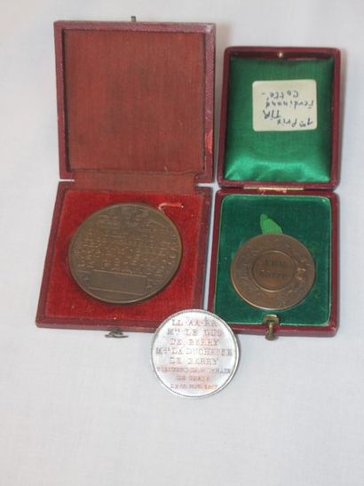 Lot de 3 médailles en bronze. XIXe et Xxe....