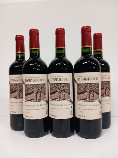 5 Bouteilles de Montagne Saint Emilion 2013...