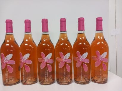 6 Bouteilles de Rosé Cinsault La Fleur des...