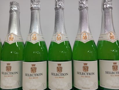8 bouteilles de Méthode Traditionnelle séléction...