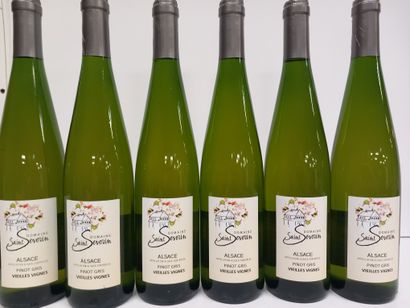 6 Bouteilles d'Alsace Pinot Gris 2020 Vieilles...
