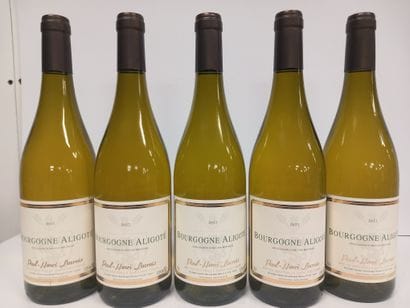 5 Bouteilles de Bourgogne Aligoté 2022 Paul...