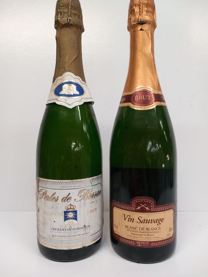 Lot de 2 bouteilles:
1 Crémant de Bordeaux...