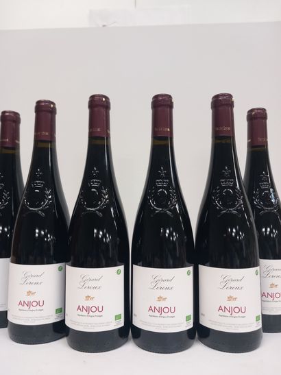 6 bouteilles de Anjou Rouge 2021 AOC Domaine...