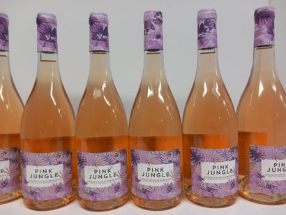 6 bouteilles de Coteaux d'Aix en Provence...