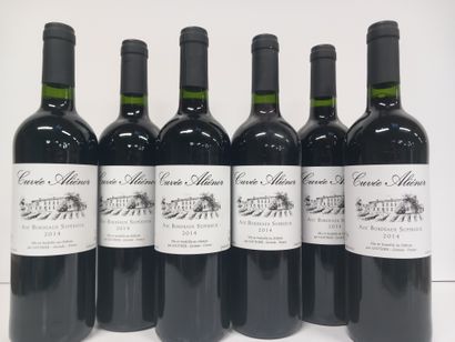6 Bouteilles de Bordeaux Rouge 2014 La Cuvée...