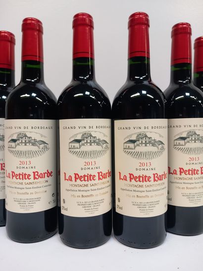 6 bouteilles de Montagne Saint Emilion 2013...