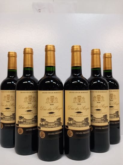 6 Bouteilles de Médoc Le Duc du Mayne 2020...