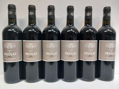 6 bouteilles de Château Le Priolat 2013 Côtes...