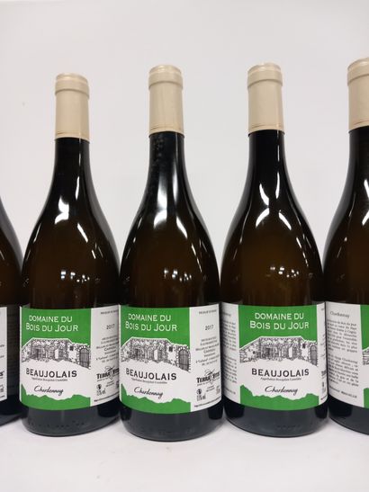 6 bouteilles du Domaine du Bois du Jour 2017...