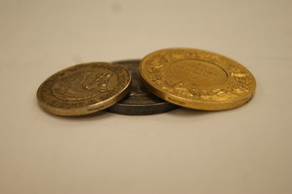 Lot de 3 médailles en argent et vermeil....